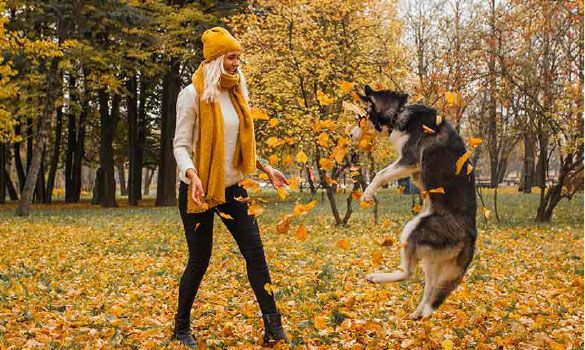 Woman playing with her dog in the fall leaves
