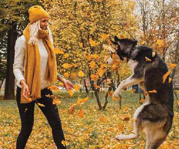 Woman playing with her dog in the fall leaves