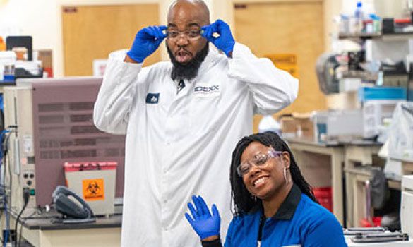 Two IDEXX employees working in the laboratory